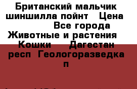 Британский мальчик шиншилла-пойнт › Цена ­ 5 000 - Все города Животные и растения » Кошки   . Дагестан респ.,Геологоразведка п.
